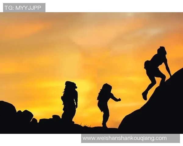 吉布森：探索科技与人文交汇的未来之路与挑战