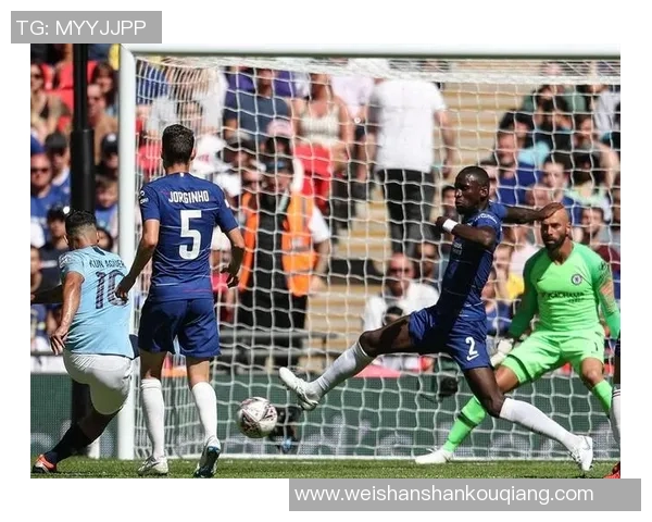 尼姆与里昂激战成败揭晓赛果分析与精彩回顾