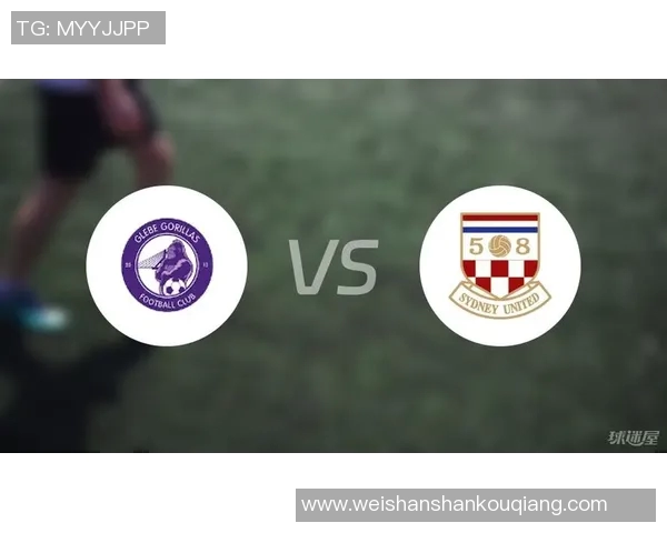 悉尼FC与鹿岛鹿角比赛前瞻分析及双方近期状态对比