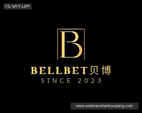 解读艾弗森·贝博(ballbet)